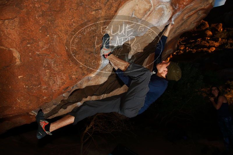 

Filename: SRM_20170104_1903510.jpg
Aperture: f/8.0
Shutter Speed: 1/250
Body: Canon EOS-1D Mark II
Lens: Canon EF 16-35mm f/2.8 L