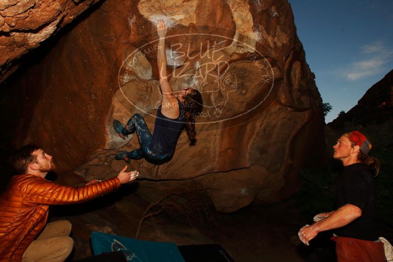 

Filename: SRM_20170104_1922000.jpg
Aperture: f/8.0
Shutter Speed: 1/250
Body: Canon EOS-1D Mark II
Lens: Canon EF 16-35mm f/2.8 L