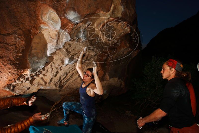 

Filename: SRM_20170104_1935270.jpg
Aperture: f/8.0
Shutter Speed: 1/250
Body: Canon EOS-1D Mark II
Lens: Canon EF 16-35mm f/2.8 L