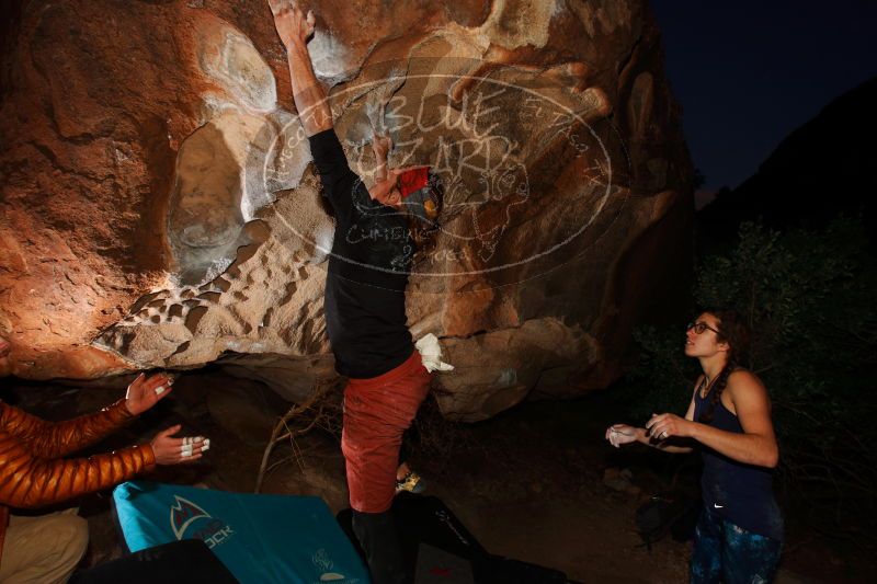 

Filename: SRM_20170104_1938150.jpg
Aperture: f/8.0
Shutter Speed: 1/250
Body: Canon EOS-1D Mark II
Lens: Canon EF 16-35mm f/2.8 L