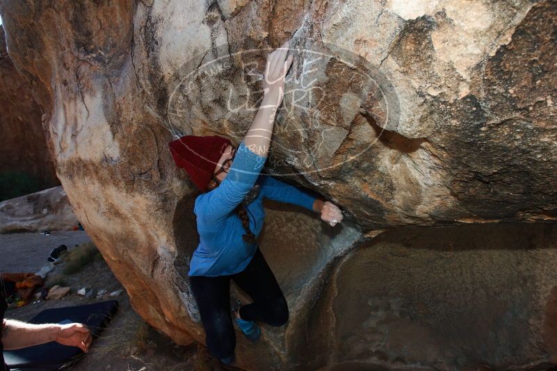 

Filename: SRM_20170105_1256310.jpg
Aperture: f/8.0
Shutter Speed: 1/250
Body: Canon EOS-1D Mark II
Lens: Canon EF 16-35mm f/2.8 L