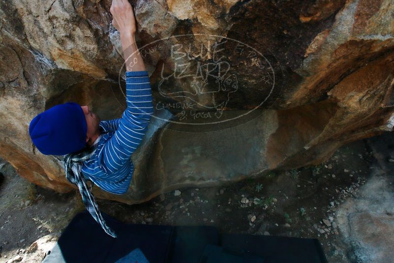 

Filename: SRM_20170105_1303501.jpg
Aperture: f/8.0
Shutter Speed: 1/250
Body: Canon EOS-1D Mark II
Lens: Canon EF 16-35mm f/2.8 L