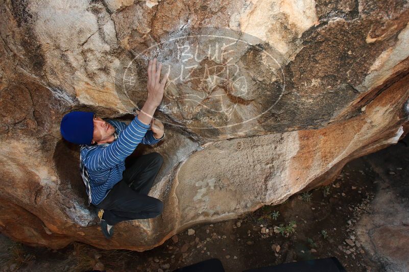 

Filename: SRM_20170105_1317380.jpg
Aperture: f/5.6
Shutter Speed: 1/250
Body: Canon EOS-1D Mark II
Lens: Canon EF 16-35mm f/2.8 L