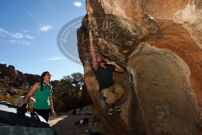 

Filename: SRM_20170105_1321220.jpg
Aperture: f/8.0
Shutter Speed: 1/250
Body: Canon EOS-1D Mark II
Lens: Canon EF 16-35mm f/2.8 L