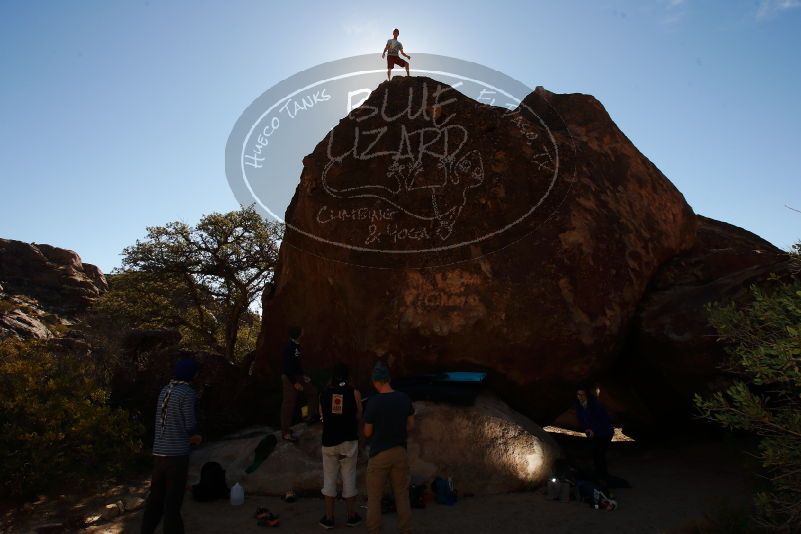 

Filename: SRM_20170105_1332580.jpg
Aperture: f/8.0
Shutter Speed: 1/250
Body: Canon EOS-1D Mark II
Lens: Canon EF 16-35mm f/2.8 L