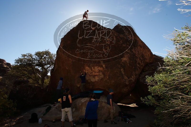 

Filename: SRM_20170105_1333390.jpg
Aperture: f/8.0
Shutter Speed: 1/250
Body: Canon EOS-1D Mark II
Lens: Canon EF 16-35mm f/2.8 L