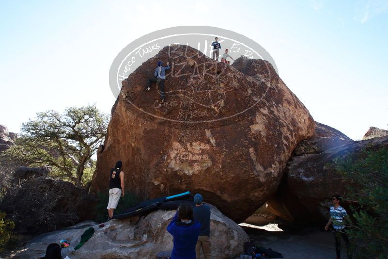 

Filename: SRM_20170105_1337020.jpg
Aperture: f/8.0
Shutter Speed: 1/125
Body: Canon EOS-1D Mark II
Lens: Canon EF 16-35mm f/2.8 L
