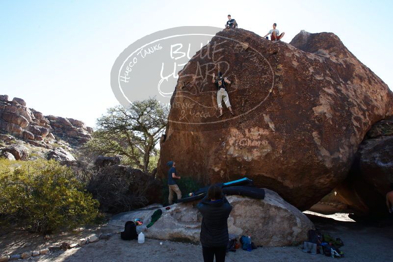 

Filename: SRM_20170105_1340580.jpg
Aperture: f/8.0
Shutter Speed: 1/125
Body: Canon EOS-1D Mark II
Lens: Canon EF 16-35mm f/2.8 L