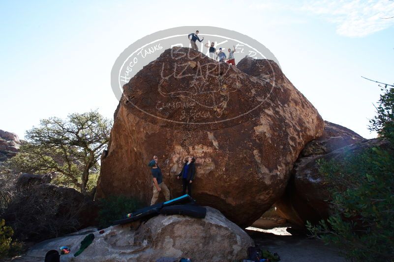 

Filename: SRM_20170105_1343490.jpg
Aperture: f/8.0
Shutter Speed: 1/125
Body: Canon EOS-1D Mark II
Lens: Canon EF 16-35mm f/2.8 L