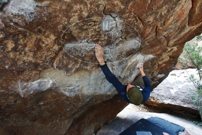 

Filename: SRM_20170105_1431050.jpg
Aperture: f/4.0
Shutter Speed: 1/200
Body: Canon EOS-1D Mark II
Lens: Canon EF 16-35mm f/2.8 L