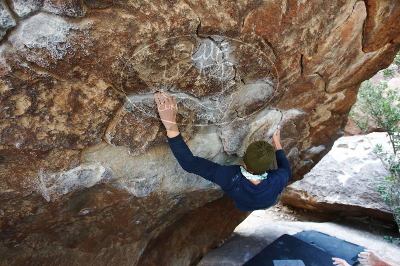 

Filename: SRM_20170105_1431090.jpg
Aperture: f/4.0
Shutter Speed: 1/200
Body: Canon EOS-1D Mark II
Lens: Canon EF 16-35mm f/2.8 L