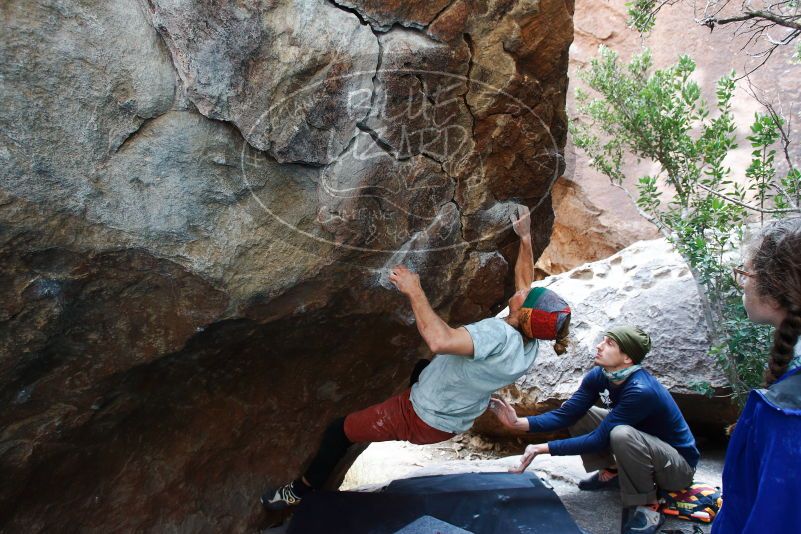 

Filename: SRM_20170105_1436000.jpg
Aperture: f/4.5
Shutter Speed: 1/200
Body: Canon EOS-1D Mark II
Lens: Canon EF 16-35mm f/2.8 L