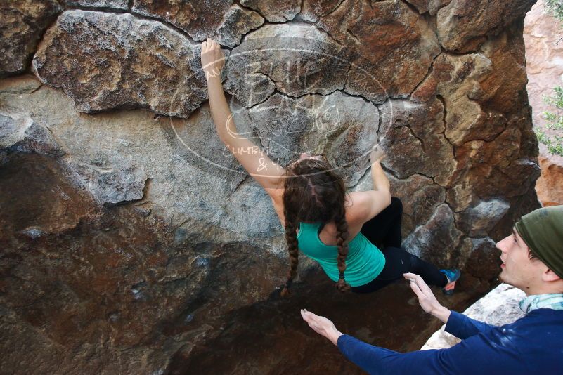 

Filename: SRM_20170105_1437421.jpg
Aperture: f/4.0
Shutter Speed: 1/200
Body: Canon EOS-1D Mark II
Lens: Canon EF 16-35mm f/2.8 L