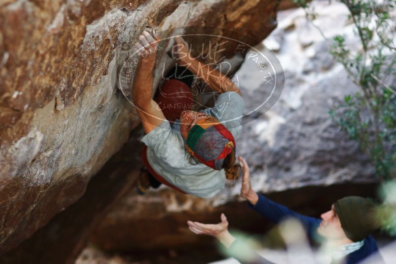 

Filename: SRM_20170105_1456244.jpg
Aperture: f/2.0
Shutter Speed: 1/640
Body: Canon EOS-1D Mark II
Lens: Canon EF 85mm f/1.2 L II