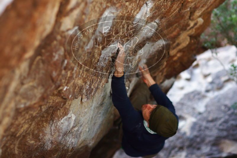 

Filename: SRM_20170105_1459583.jpg
Aperture: f/2.0
Shutter Speed: 1/640
Body: Canon EOS-1D Mark II
Lens: Canon EF 85mm f/1.2 L II