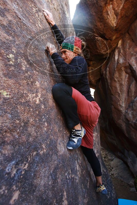 

Filename: SRM_20170105_1525380.jpg
Aperture: f/4.0
Shutter Speed: 1/250
Body: Canon EOS-1D Mark II
Lens: Canon EF 16-35mm f/2.8 L