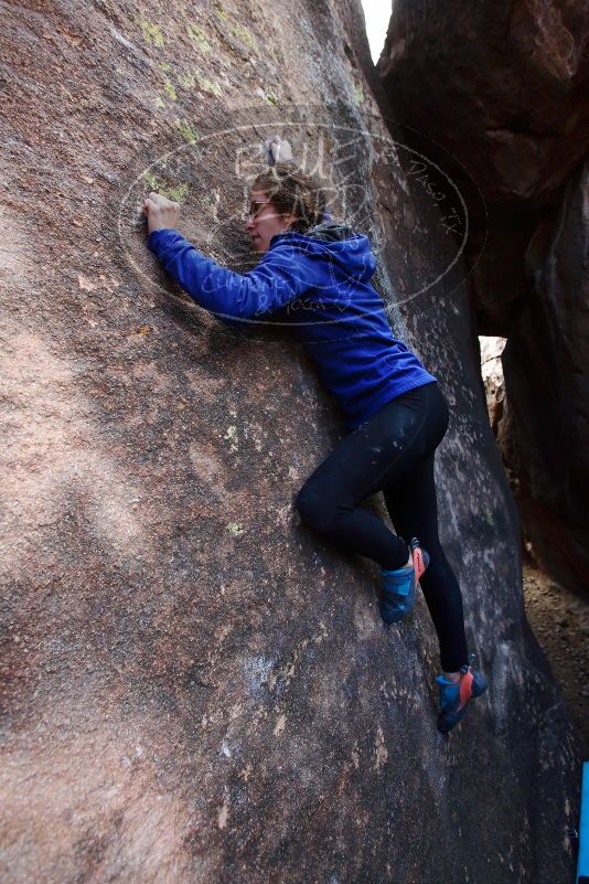 

Filename: SRM_20170105_1539320.jpg
Aperture: f/4.0
Shutter Speed: 1/250
Body: Canon EOS-1D Mark II
Lens: Canon EF 16-35mm f/2.8 L