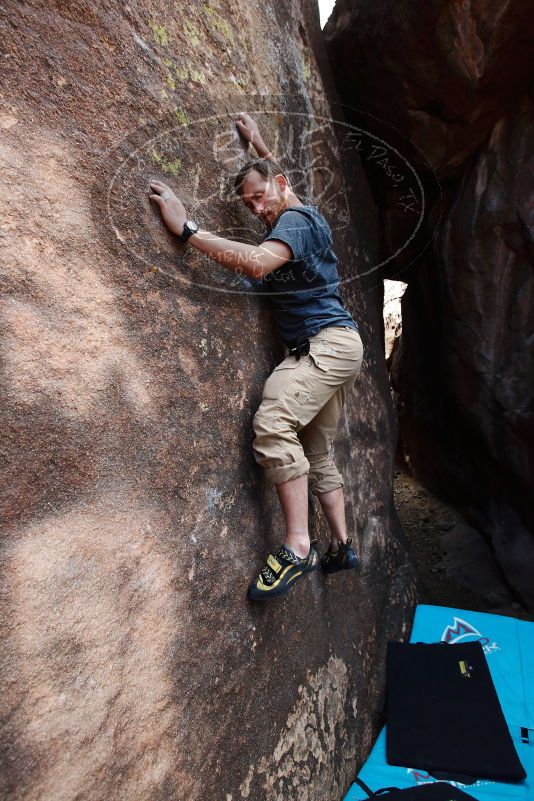 

Filename: SRM_20170105_1547500.jpg
Aperture: f/4.0
Shutter Speed: 1/500
Body: Canon EOS-1D Mark II
Lens: Canon EF 16-35mm f/2.8 L