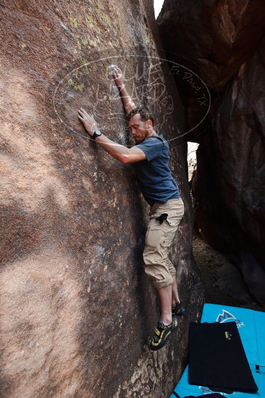 

Filename: SRM_20170105_1547540.jpg
Aperture: f/4.0
Shutter Speed: 1/500
Body: Canon EOS-1D Mark II
Lens: Canon EF 16-35mm f/2.8 L