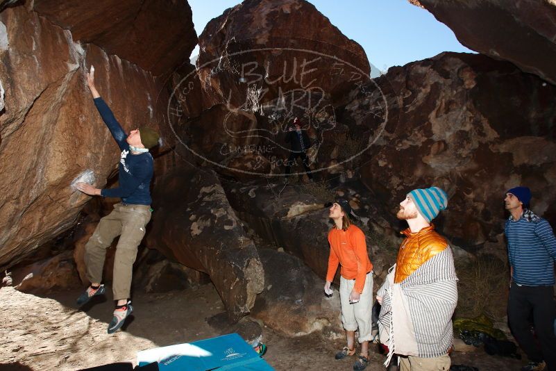 

Filename: SRM_20170105_1709490.jpg
Aperture: f/8.0
Shutter Speed: 1/250
Body: Canon EOS-1D Mark II
Lens: Canon EF 16-35mm f/2.8 L