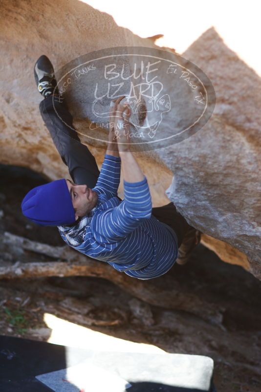 

Filename: SRM_20170105_1801140.jpg
Aperture: f/2.0
Shutter Speed: 1/500
Body: Canon EOS-1D Mark II
Lens: Canon EF 85mm f/1.2 L II