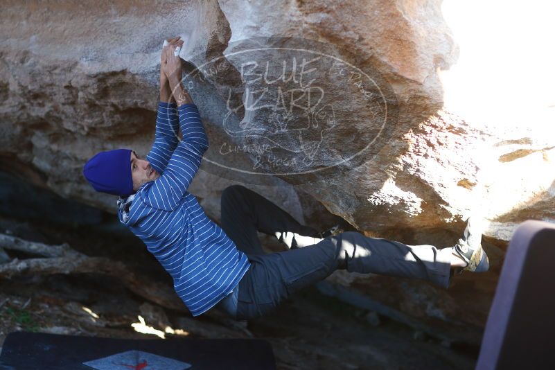 

Filename: SRM_20170105_1820270.jpg
Aperture: f/2.0
Shutter Speed: 1/500
Body: Canon EOS-1D Mark II
Lens: Canon EF 85mm f/1.2 L II