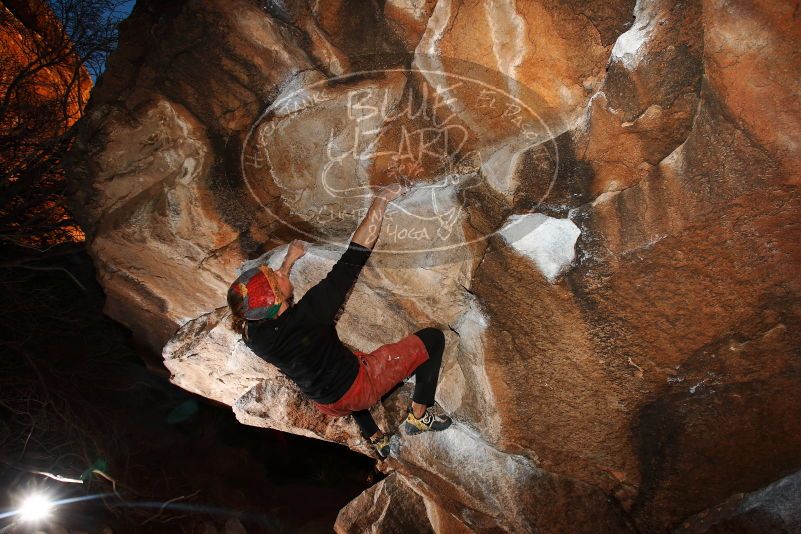 

Filename: SRM_20170105_1916040.jpg
Aperture: f/7.1
Shutter Speed: 1/250
Body: Canon EOS-1D Mark II
Lens: Canon EF 16-35mm f/2.8 L