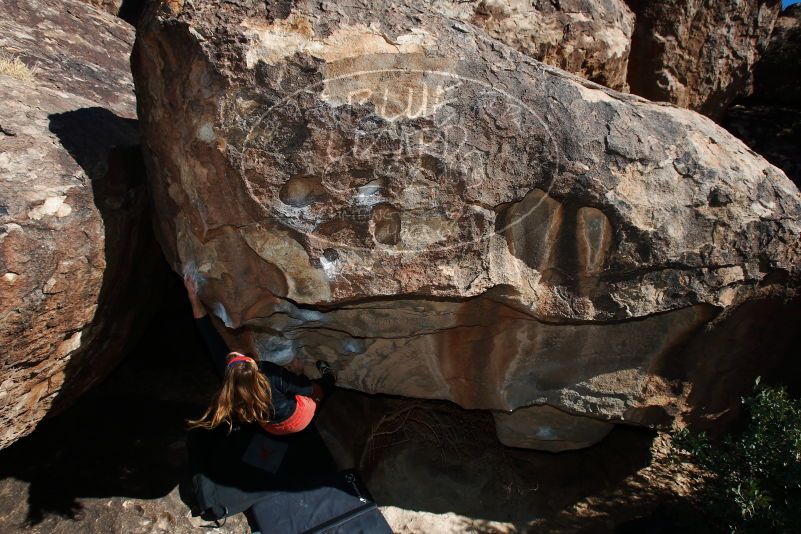 

Filename: SRM_20170128_0954520.jpg
Aperture: f/9.0
Shutter Speed: 1/250
Body: Canon EOS-1D Mark II
Lens: Canon EF 16-35mm f/2.8 L