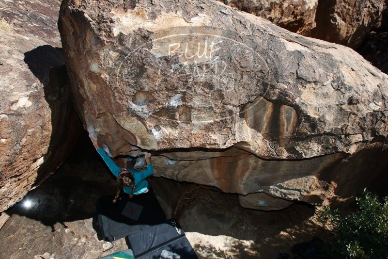 

Filename: SRM_20170128_1003510.jpg
Aperture: f/9.0
Shutter Speed: 1/200
Body: Canon EOS-1D Mark II
Lens: Canon EF 16-35mm f/2.8 L