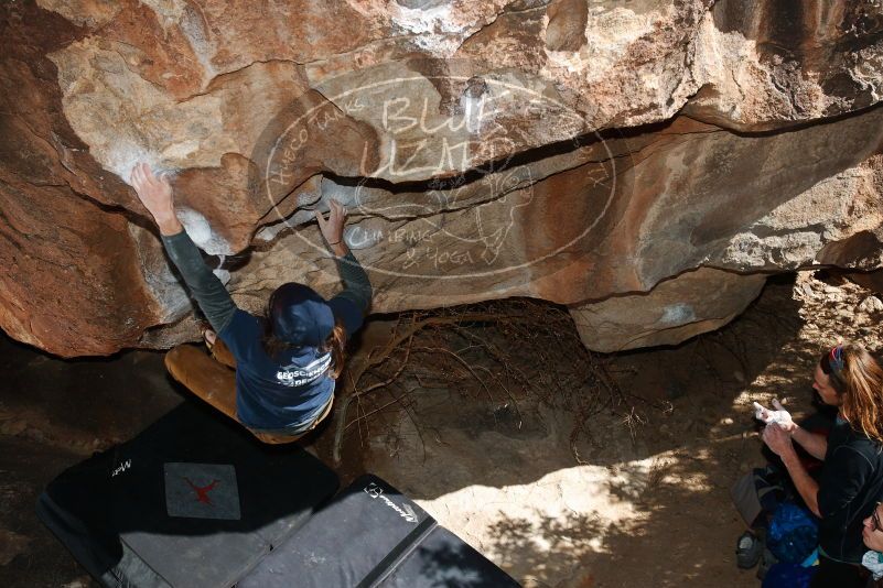 

Filename: SRM_20170128_1015520.jpg
Aperture: f/9.0
Shutter Speed: 1/200
Body: Canon EOS-1D Mark II
Lens: Canon EF 16-35mm f/2.8 L