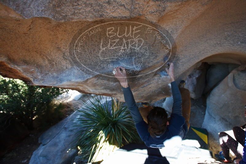 

Filename: SRM_20170128_1133490.jpg
Aperture: f/4.0
Shutter Speed: 1/400
Body: Canon EOS-1D Mark II
Lens: Canon EF 16-35mm f/2.8 L