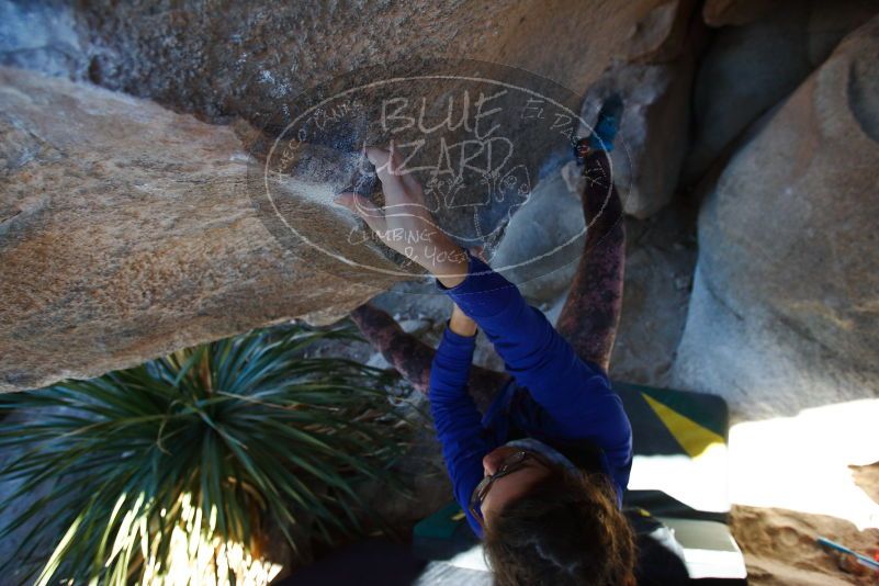 

Filename: SRM_20170128_1140000.jpg
Aperture: f/4.0
Shutter Speed: 1/500
Body: Canon EOS-1D Mark II
Lens: Canon EF 16-35mm f/2.8 L