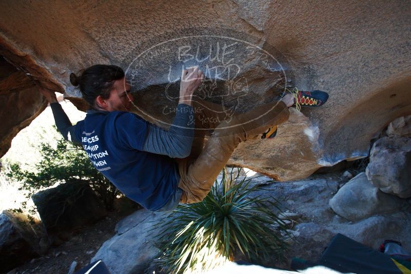 

Filename: SRM_20170128_1141120.jpg
Aperture: f/4.0
Shutter Speed: 1/500
Body: Canon EOS-1D Mark II
Lens: Canon EF 16-35mm f/2.8 L