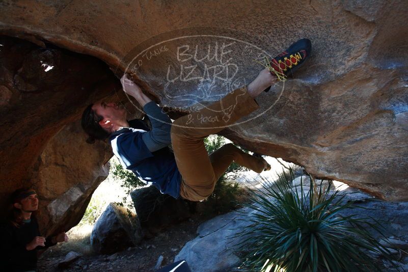 

Filename: SRM_20170128_1141270.jpg
Aperture: f/4.0
Shutter Speed: 1/640
Body: Canon EOS-1D Mark II
Lens: Canon EF 16-35mm f/2.8 L