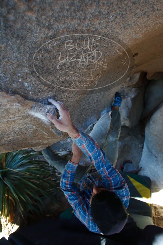 

Filename: SRM_20170128_1142420.jpg
Aperture: f/4.0
Shutter Speed: 1/500
Body: Canon EOS-1D Mark II
Lens: Canon EF 16-35mm f/2.8 L