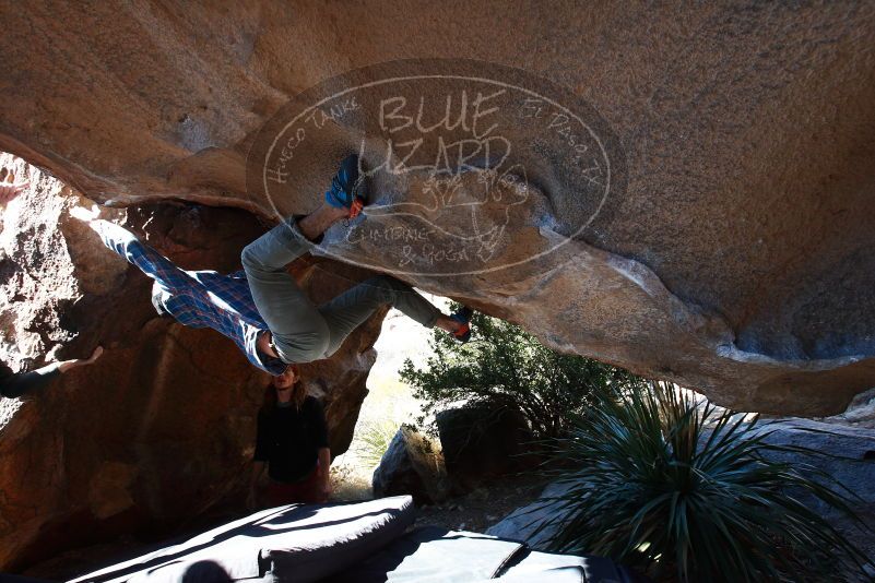 

Filename: SRM_20170128_1151550.jpg
Aperture: f/5.0
Shutter Speed: 1/400
Body: Canon EOS-1D Mark II
Lens: Canon EF 16-35mm f/2.8 L