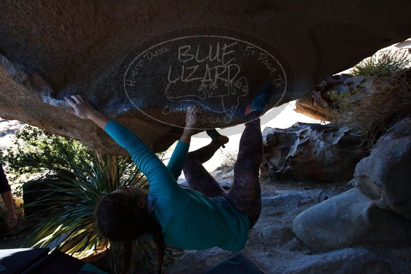 

Filename: SRM_20170128_1154250.jpg
Aperture: f/5.0
Shutter Speed: 1/320
Body: Canon EOS-1D Mark II
Lens: Canon EF 16-35mm f/2.8 L