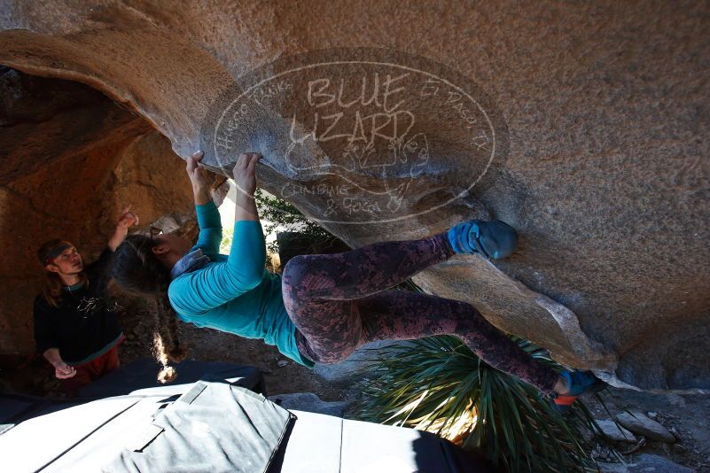 

Filename: SRM_20170128_1155032.jpg
Aperture: f/5.0
Shutter Speed: 1/250
Body: Canon EOS-1D Mark II
Lens: Canon EF 16-35mm f/2.8 L