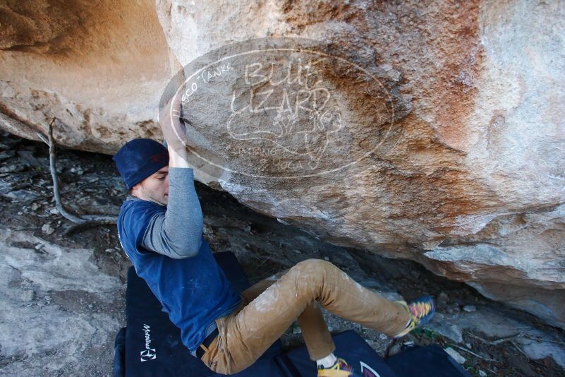 

Filename: SRM_20170128_1328100.jpg
Aperture: f/4.0
Shutter Speed: 1/250
Body: Canon EOS-1D Mark II
Lens: Canon EF 16-35mm f/2.8 L