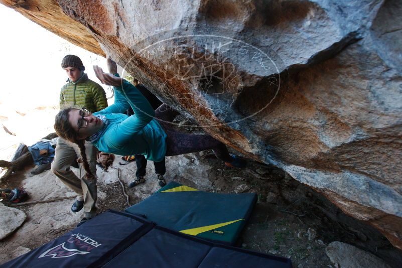 

Filename: SRM_20170128_1342260.jpg
Aperture: f/4.0
Shutter Speed: 1/400
Body: Canon EOS-1D Mark II
Lens: Canon EF 16-35mm f/2.8 L