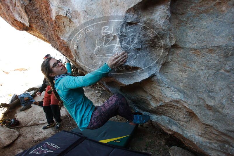 

Filename: SRM_20170128_1342320.jpg
Aperture: f/4.0
Shutter Speed: 1/500
Body: Canon EOS-1D Mark II
Lens: Canon EF 16-35mm f/2.8 L