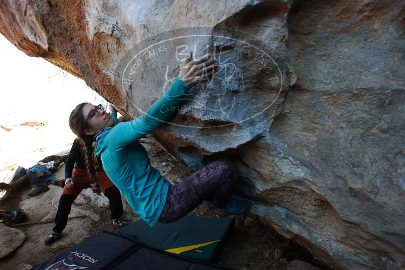 

Filename: SRM_20170128_1342340.jpg
Aperture: f/4.0
Shutter Speed: 1/640
Body: Canon EOS-1D Mark II
Lens: Canon EF 16-35mm f/2.8 L