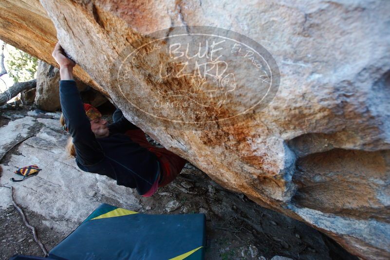 

Filename: SRM_20170128_1354521.jpg
Aperture: f/4.0
Shutter Speed: 1/250
Body: Canon EOS-1D Mark II
Lens: Canon EF 16-35mm f/2.8 L