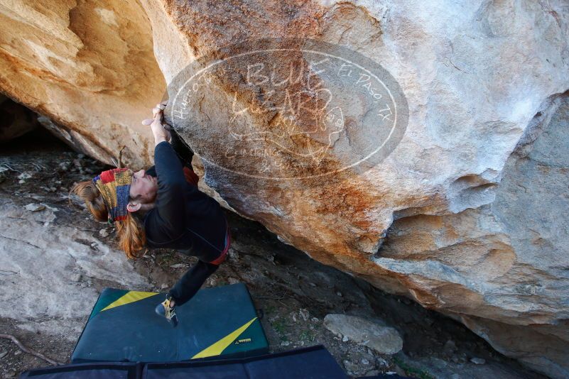 

Filename: SRM_20170128_1401040.jpg
Aperture: f/4.0
Shutter Speed: 1/250
Body: Canon EOS-1D Mark II
Lens: Canon EF 16-35mm f/2.8 L