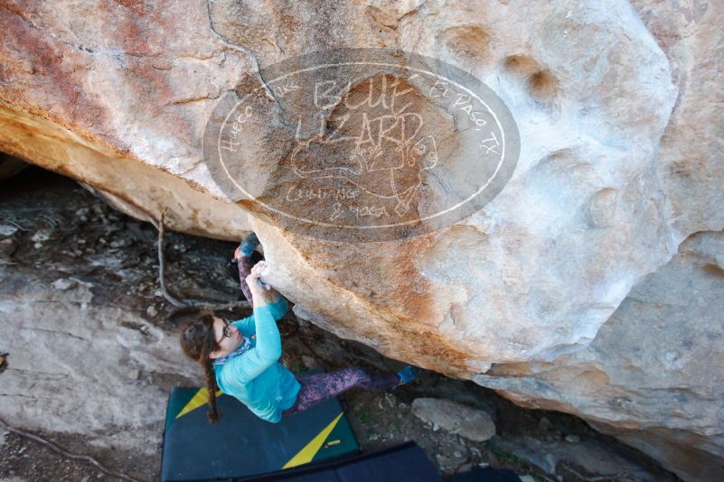 

Filename: SRM_20170128_1401530.jpg
Aperture: f/4.0
Shutter Speed: 1/250
Body: Canon EOS-1D Mark II
Lens: Canon EF 16-35mm f/2.8 L