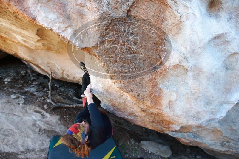 

Filename: SRM_20170128_1404400.jpg
Aperture: f/4.0
Shutter Speed: 1/250
Body: Canon EOS-1D Mark II
Lens: Canon EF 16-35mm f/2.8 L