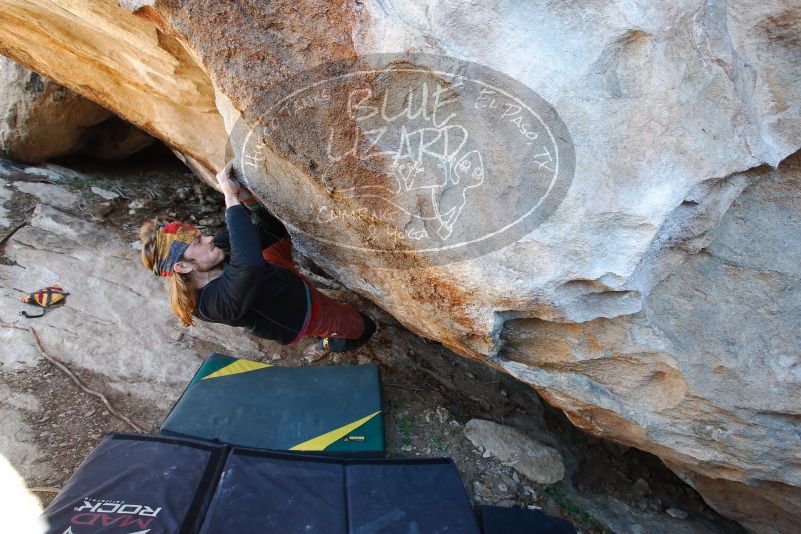 

Filename: SRM_20170128_1407041.jpg
Aperture: f/4.0
Shutter Speed: 1/250
Body: Canon EOS-1D Mark II
Lens: Canon EF 16-35mm f/2.8 L