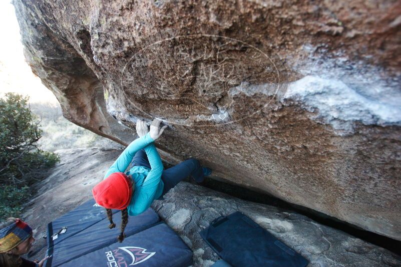 

Filename: SRM_20170128_1608380.jpg
Aperture: f/4.0
Shutter Speed: 1/250
Body: Canon EOS-1D Mark II
Lens: Canon EF 16-35mm f/2.8 L