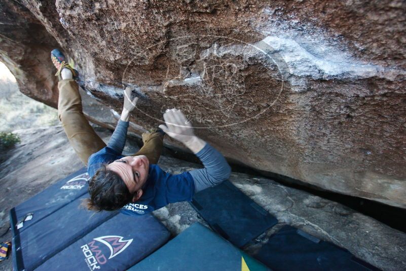 

Filename: SRM_20170128_1609260.jpg
Aperture: f/4.0
Shutter Speed: 1/250
Body: Canon EOS-1D Mark II
Lens: Canon EF 16-35mm f/2.8 L