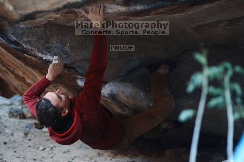 

Filename: SRM_20170129_0950590.jpg
Aperture: f/2.0
Shutter Speed: 1/200
Body: Canon EOS-1D Mark II
Lens: Canon EF 50mm f/1.8 II